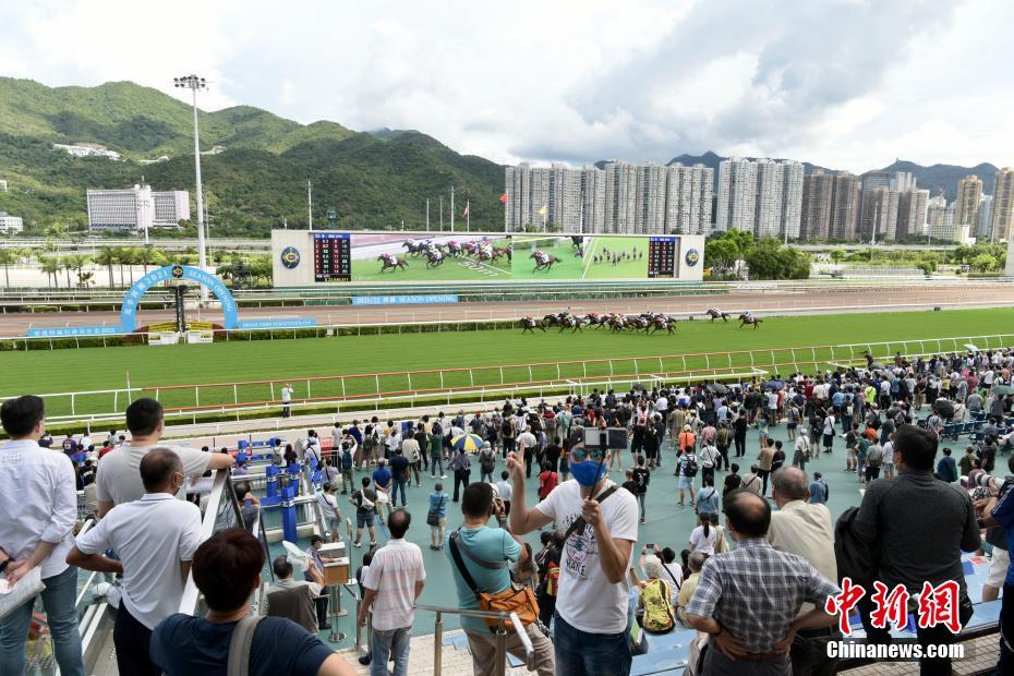 揭秘香港今晚特馬開什么，熱門語(yǔ)言解讀彩票奧秘，香港今晚特馬揭秘，彩票奧秘與熱門語(yǔ)言解讀