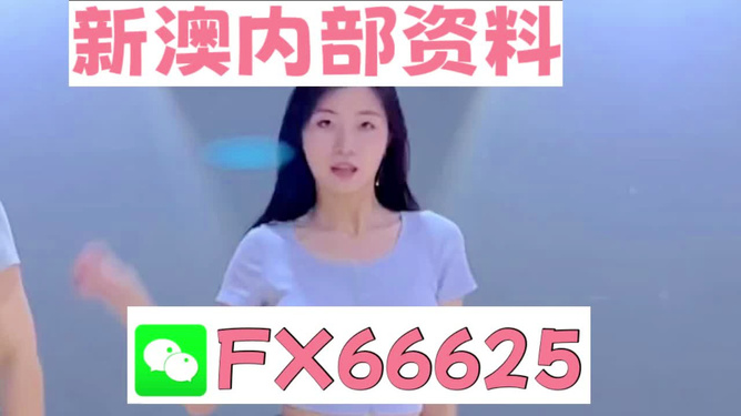 新澳門精準(zhǔn)資料大全管家婆料，澳門精準(zhǔn)資料大全，管家婆料全解析