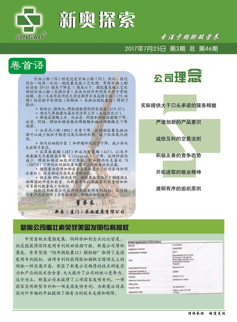 2025新澳精準正版資料，2025新澳正版資料解析