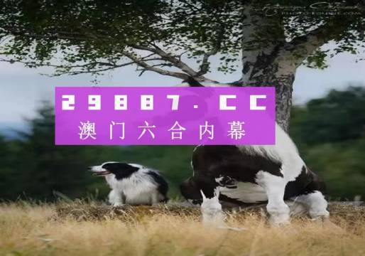 澳門今晚開特馬四不像圖,創(chuàng)新計劃分析_45