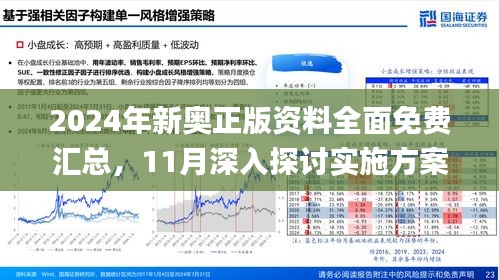 新澳2025精準正版免費資料,效率資料解釋落實_44