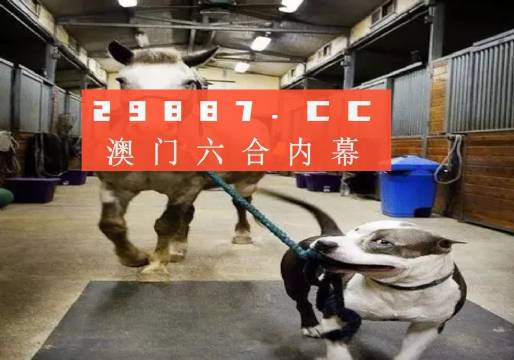 澳門一肖一碼一必中，同舟共濟向前行，澳門一肖一碼必中，同舟共濟向前行