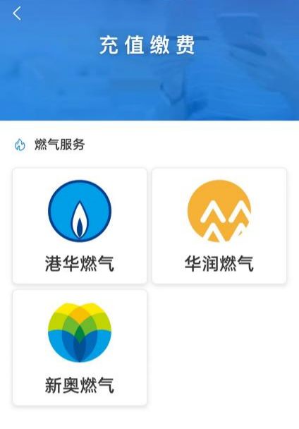 新奧門資料大全正版資料六肖——深度解析與探索，新奧門正版資料六肖深度探索與解析