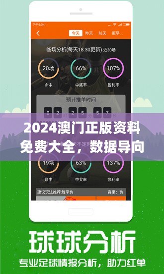2025澳門(mén)免費(fèi)資料,正版資料，澳門(mén)正版資料2025年免費(fèi)版揭秘