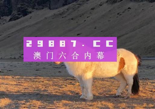 揭秘澳門今晚開碼料，展望2024年的新機遇與挑戰(zhàn)，澳門未來展望，揭秘今晚開碼料與迎接新機遇的挑戰(zhàn)