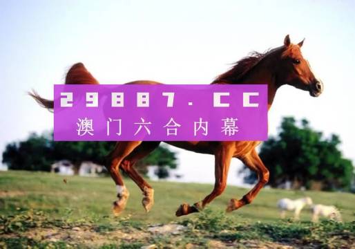 2025年一肖一碼一中一特，未來趨勢展望，未來趨勢展望，2025年一肖一碼一中一特的預(yù)測與發(fā)展