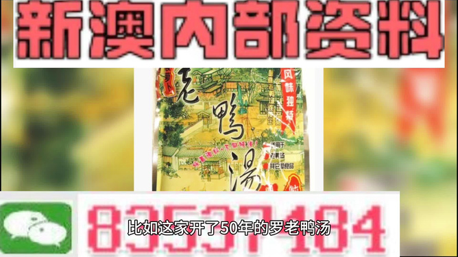 新澳正版資料與內(nèi)部資料深度解析，新澳正版資料與內(nèi)部資料深度剖析