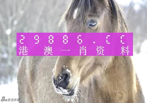 新澳門平特一肖100準(zhǔn)確,理論依據(jù)解釋定義_46