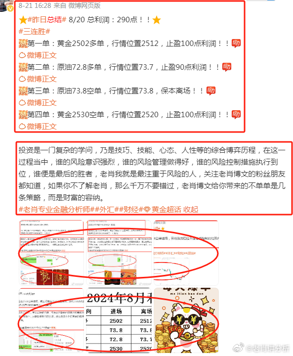 澳門管家婆100%精準,收益成語分析定義_17