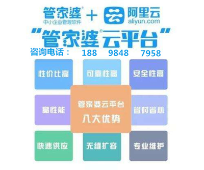 澳門管家婆，澳門管家婆，揭秘管理與服務(wù)的藝術(shù)