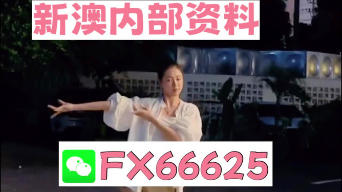 新澳六叔精準(zhǔn)資料大全111期，新澳六叔精準(zhǔn)資料大全第111期獨家解析