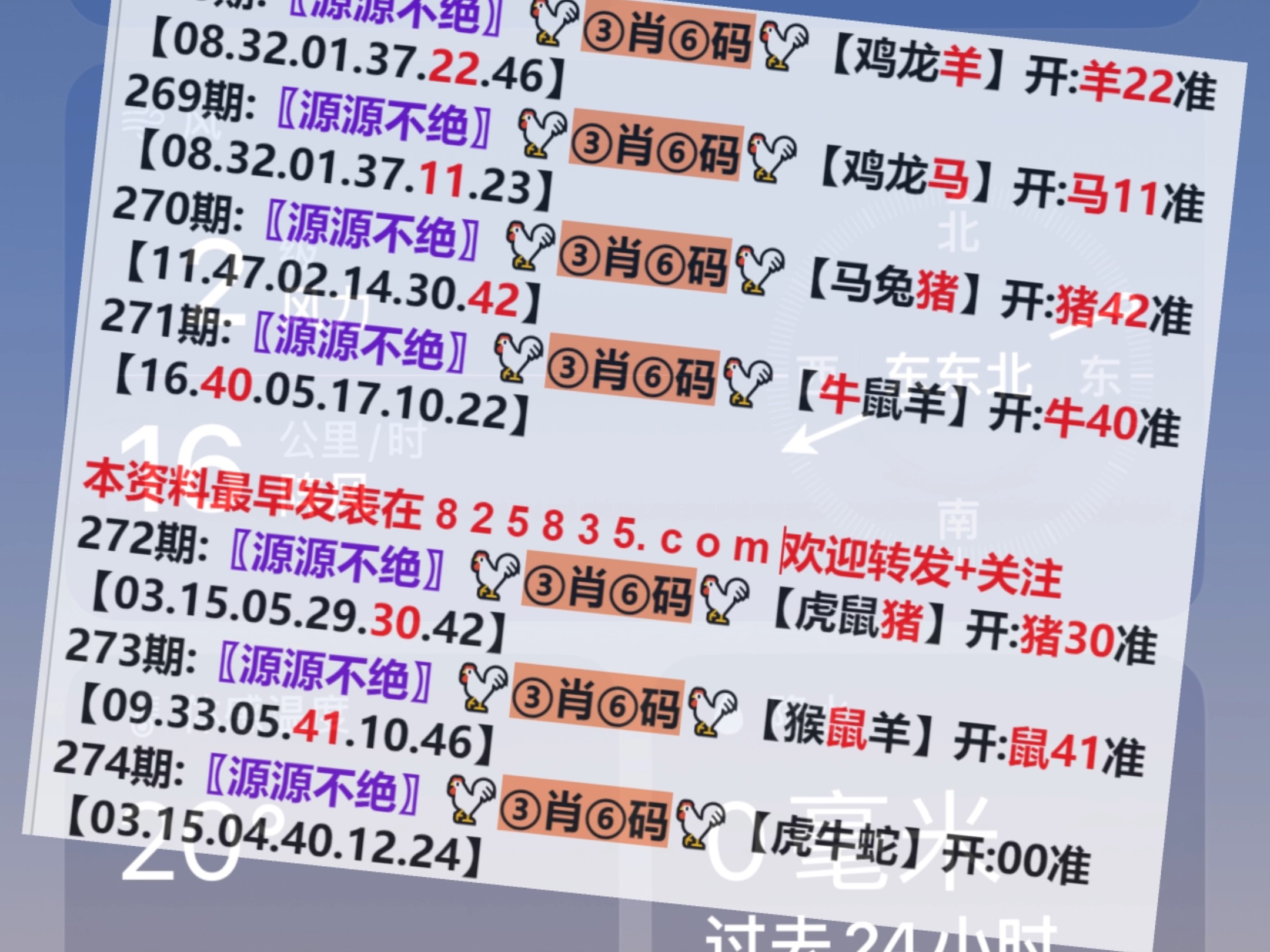 霧里看花