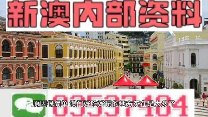 澳門免費精準資料，探索獲取與利用的途徑，澳門免費精準資料獲取與利用途徑探索