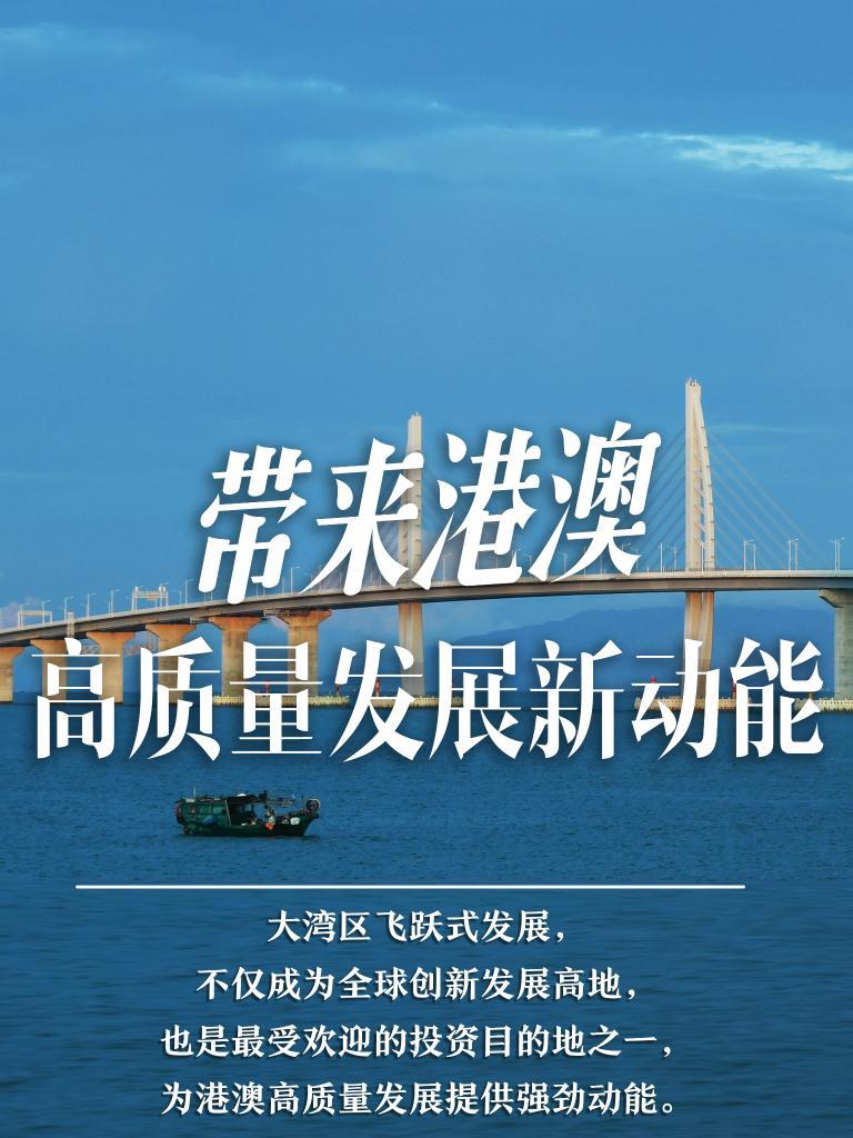 2025新澳門精準(zhǔn)免費(fèi)大全，澳門最新精準(zhǔn)免費(fèi)資料大全（2025版）
