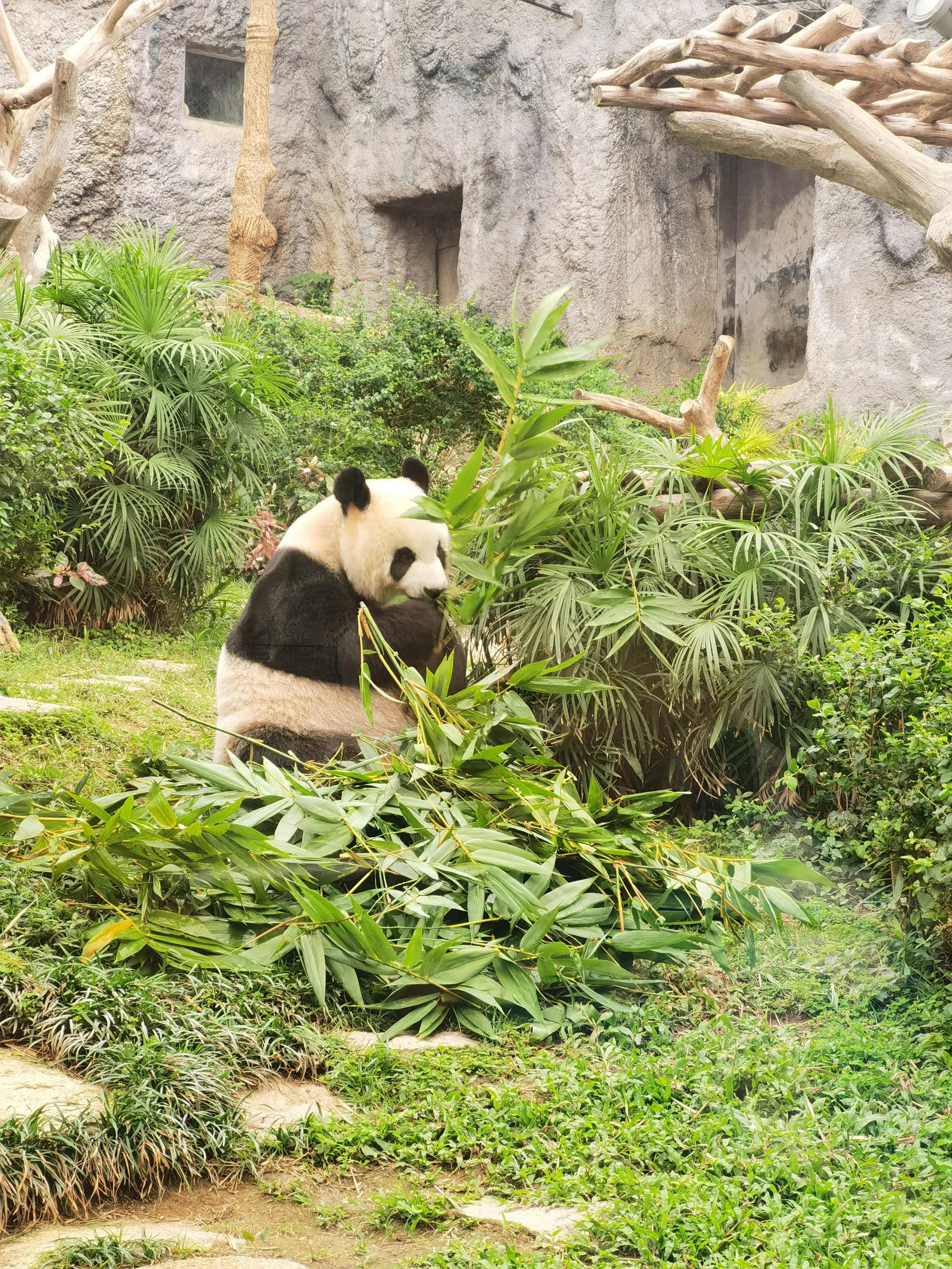 澳門最準(zhǔn)最快的免費的，澳門最準(zhǔn)最快的免費預(yù)測/資料