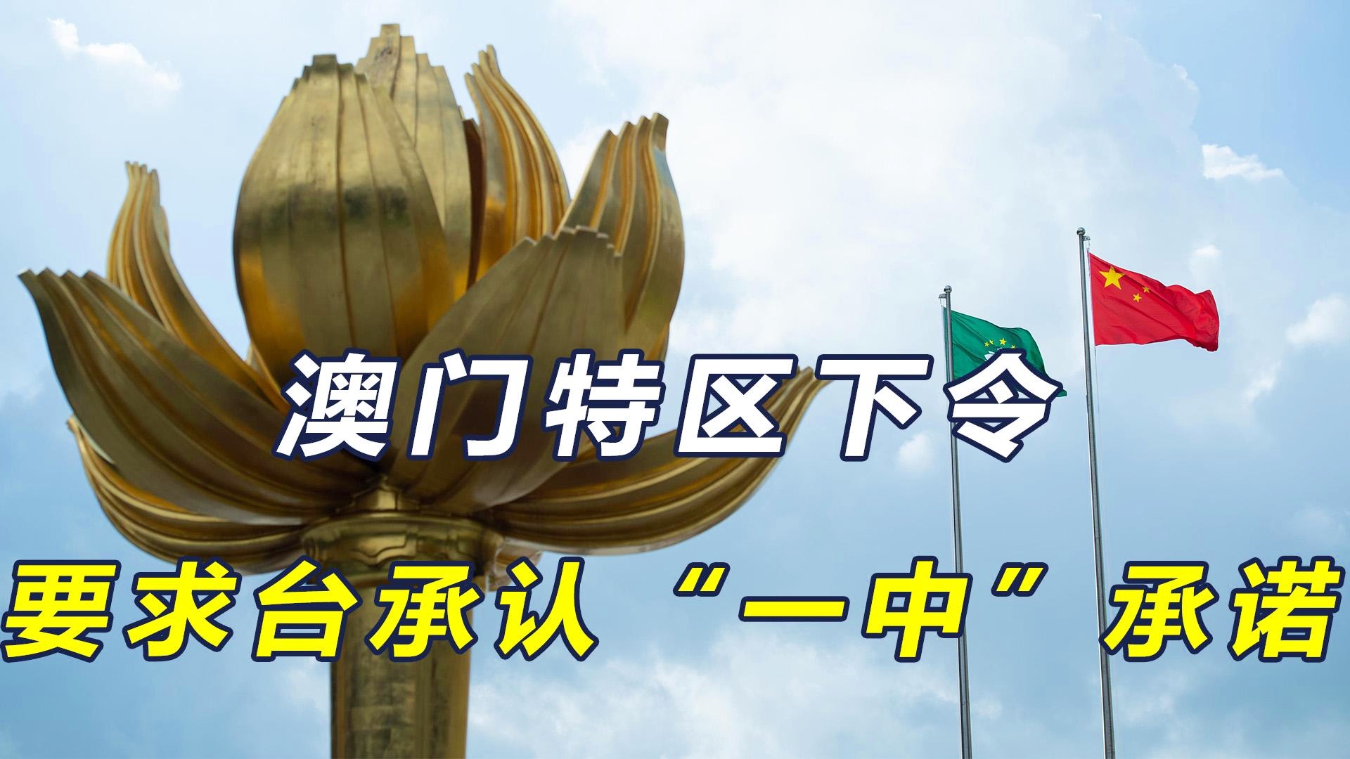 澳門一碼一肖一待一中四不像，深度解讀與探索，澳門一碼一肖一待一中四不像，深度解讀與探索揭秘