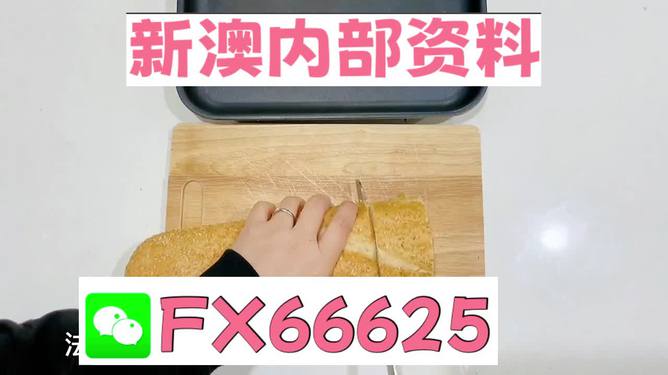 新澳門內(nèi)部一碼精準(zhǔn)公開，探索前沿科技的魅力，澳門前沿科技揭秘，一碼精準(zhǔn)公開探索科技魅力