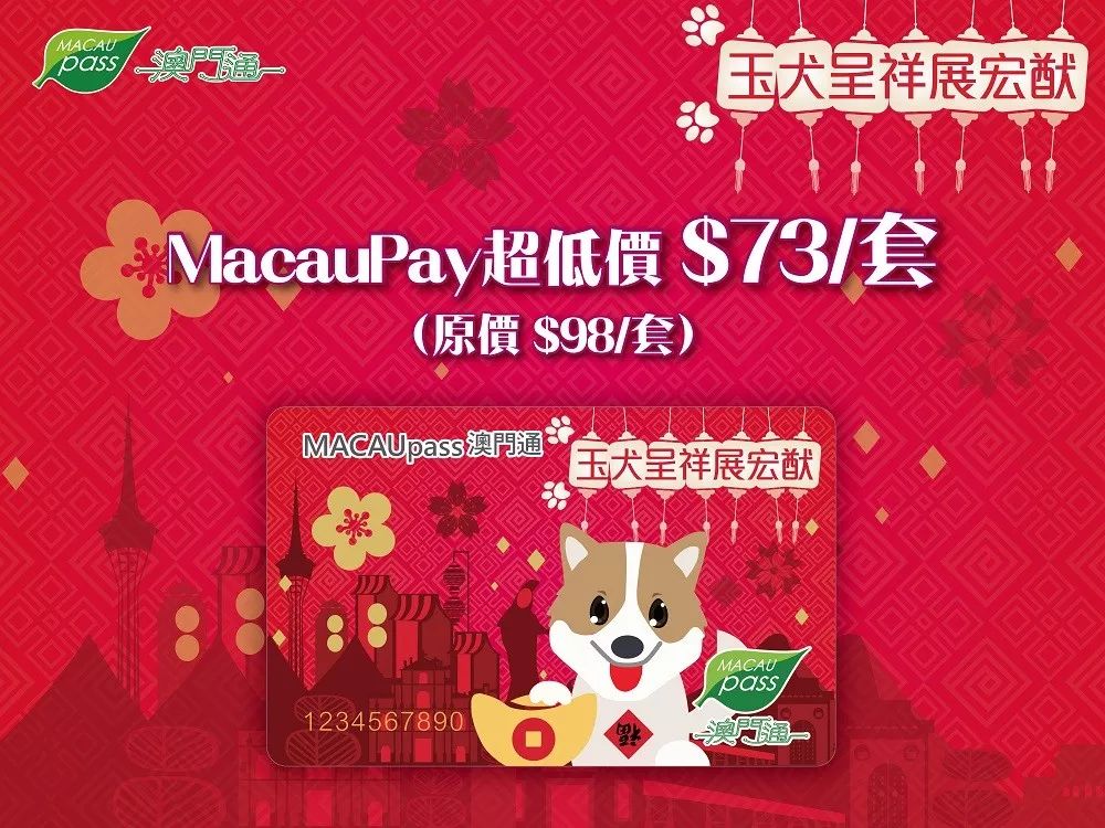 澳門正版資料大全資料生肖卡，澳門正版資料大全，生肖卡全收錄